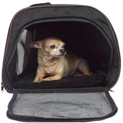 Soft Sided Dog Carrier
