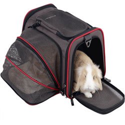 Petsfit Expandable Travel Carrier Airline Approved Pet Carrier